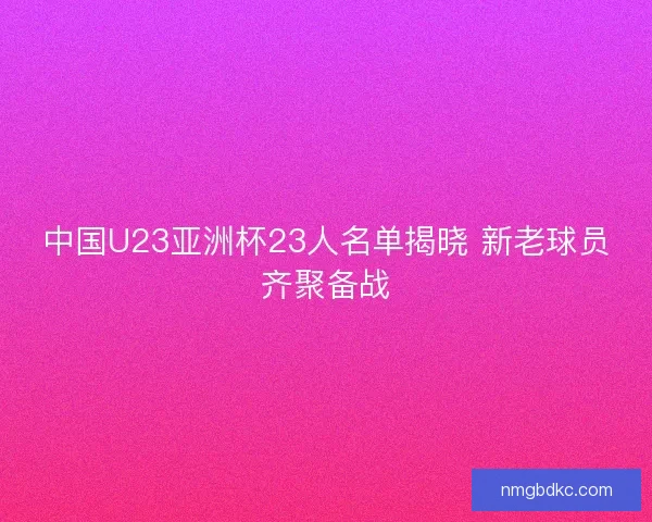 中国U23亚洲杯23人名单揭晓 新老球员齐聚备战